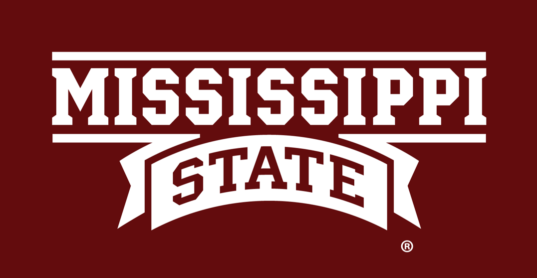 Mississippi State Bulldogs 2009-Pres Wordmark Logo t shirts DIY iron ons v2